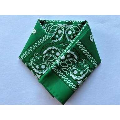 Bandana žalia